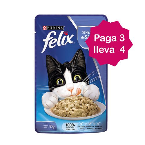 Salsas-Felix-paga-3-lleva-4